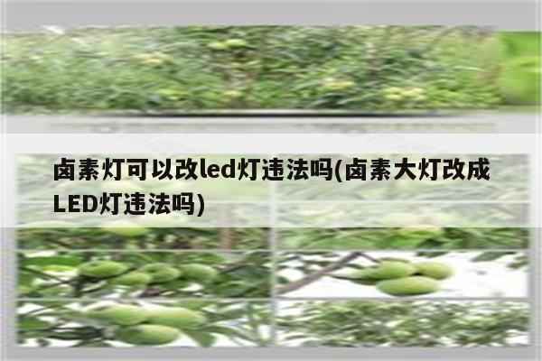 卤素灯可以改led灯违法吗(卤素大灯改成LED灯违法吗)