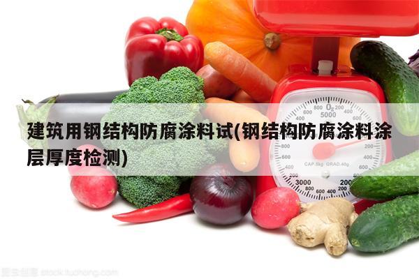 建筑用钢结构防腐涂料试(钢结构防腐涂料涂层厚度检测)