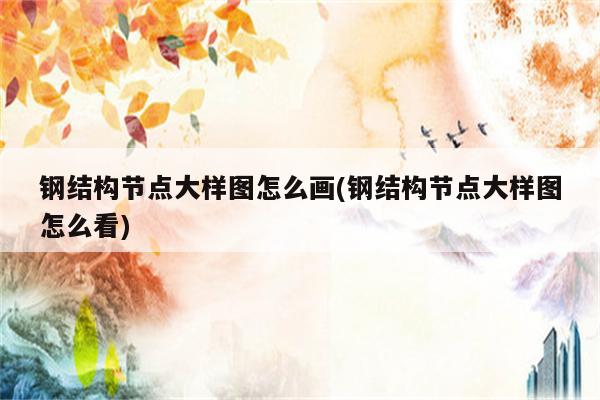 钢结构节点大样图怎么画(钢结构节点大样图怎么看)