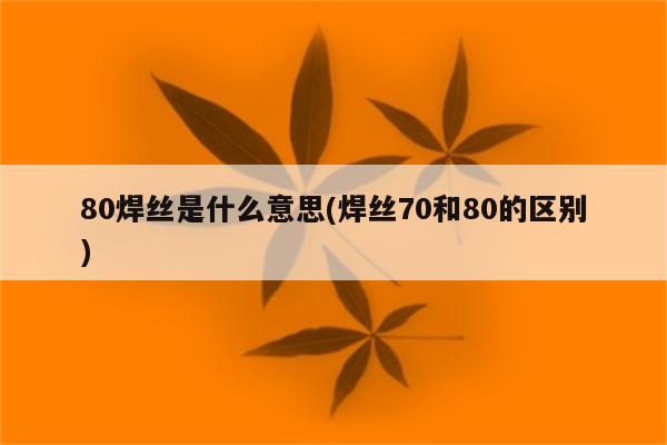 80焊丝是什么意思(焊丝70和80的区别)