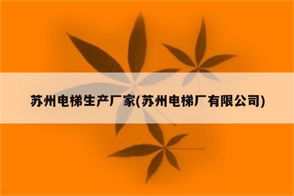 苏州电梯生产厂家(苏州电梯厂有限公司)