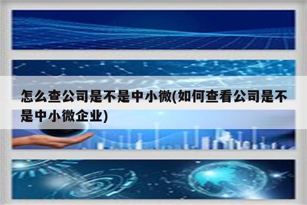 怎么查公司是不是中小微(如何查看公司是不是中小微企业)