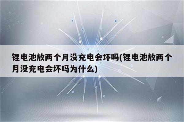 锂电池放两个月没充电会坏吗(锂电池放两个月没充电会坏吗为什么)