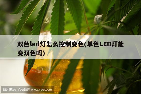 双色led灯怎么控制变色(单色LED灯能变双色吗)