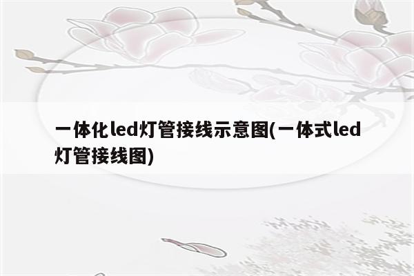 一体化led灯管接线示意图(一体式led灯管接线图)