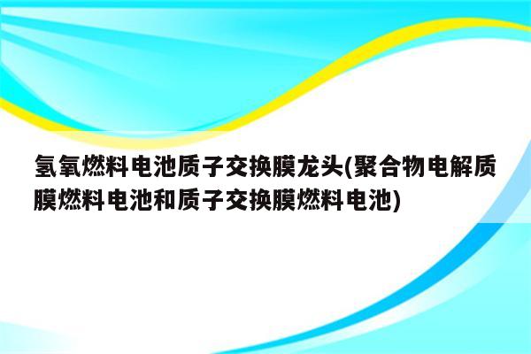 氢氧燃料电池质子交换膜龙头(聚合物电解质膜燃料电池和质子交换膜燃料电池)