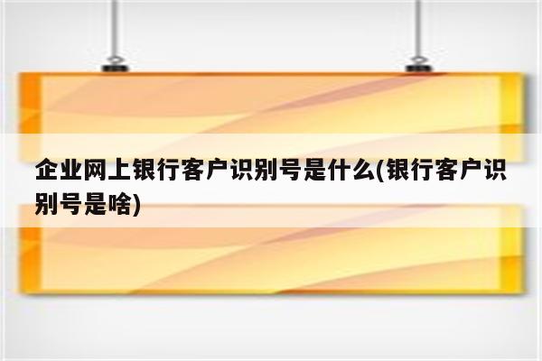 企业网上银行客户识别号是什么(银行客户识别号是啥)