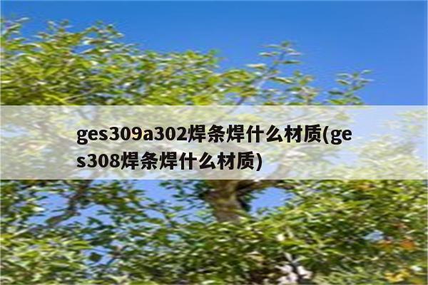 ges309a302焊条焊什么材质(ges308焊条焊什么材质)