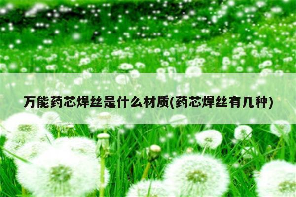 万能药芯焊丝是什么材质(药芯焊丝有几种)