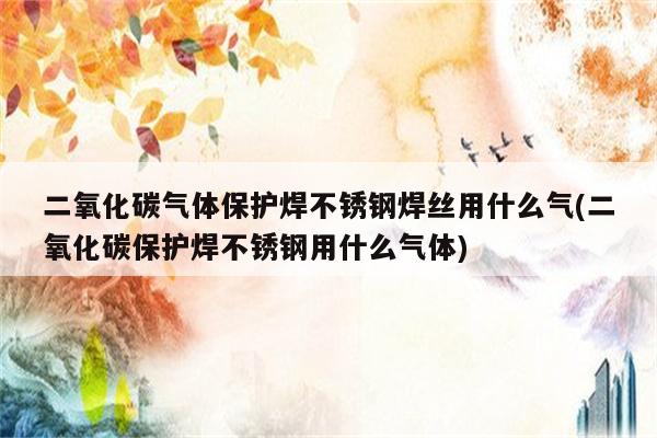 二氧化碳气体保护焊不锈钢焊丝用什么气(二氧化碳保护焊不锈钢用什么气体)