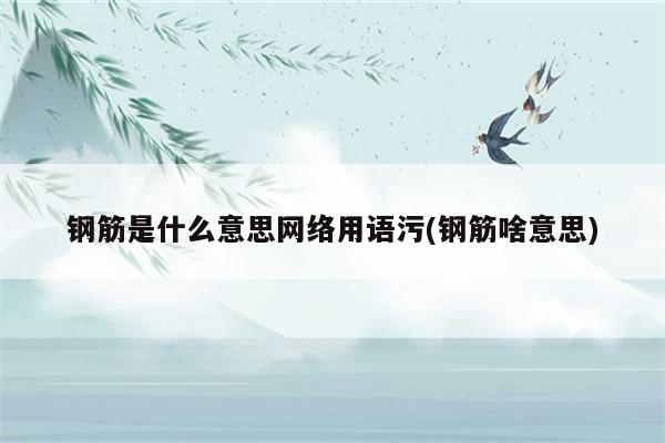 钢筋是什么意思网络用语污(钢筋啥意思)