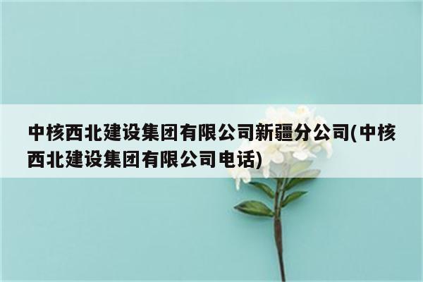 中核西北建设集团有限公司新疆分公司(中核西北建设集团有限公司电话)