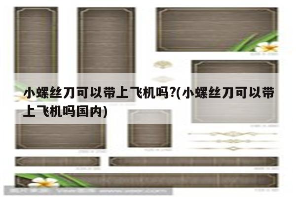 小螺丝刀可以带上飞机吗?(小螺丝刀可以带上飞机吗国内)