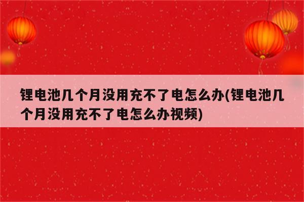 锂电池几个月没用充不了电怎么办(锂电池几个月没用充不了电怎么办视频)