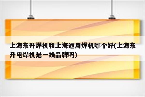 上海东升焊机和上海通用焊机哪个好(上海东升电焊机是一线品牌吗)