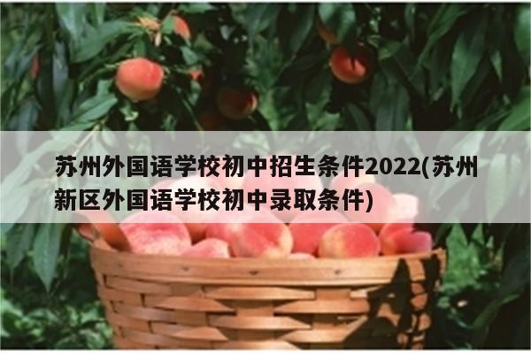 苏州外国语学校初中招生条件2022(苏州新区外国语学校初中录取条件)