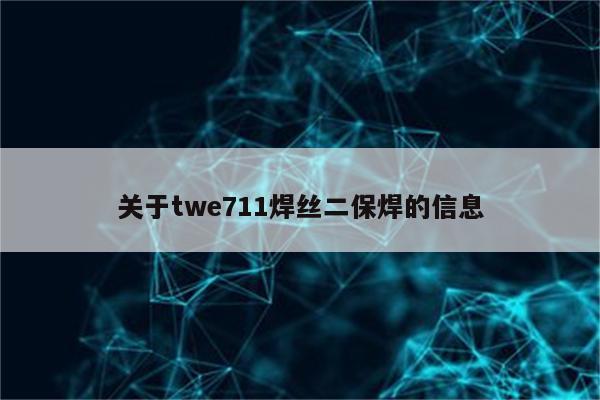 关于twe711焊丝二保焊的信息