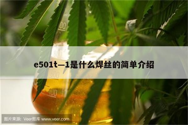 e501t—1是什么焊丝的简单介绍