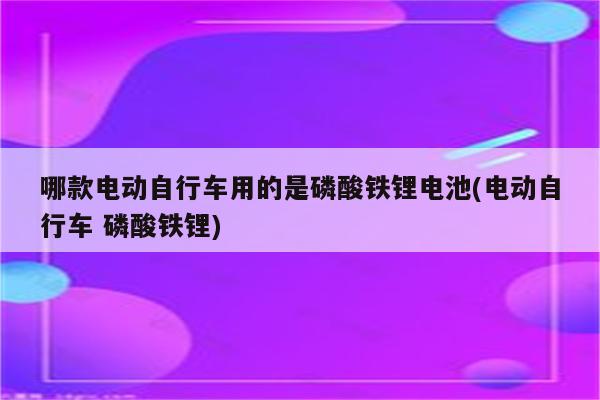 哪款电动自行车用的是磷酸铁锂电池(电动自行车 磷酸铁锂)