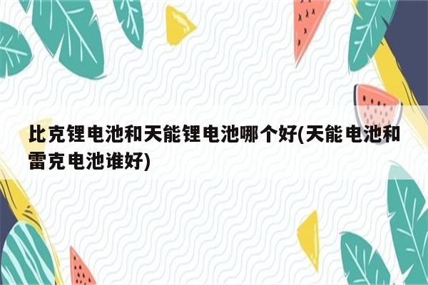 比克锂电池和天能锂电池哪个好(天能电池和雷克电池谁好)