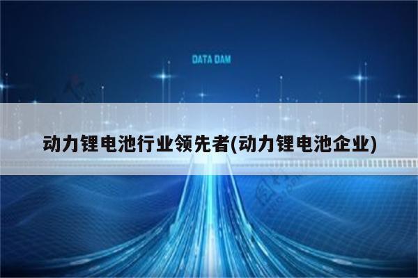 动力锂电池行业领先者(动力锂电池企业)