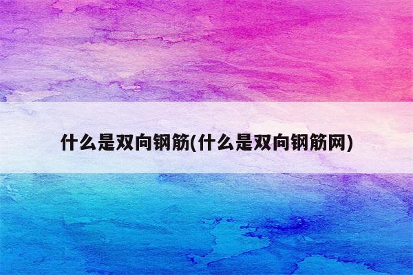 什么是双向钢筋(什么是双向钢筋网)