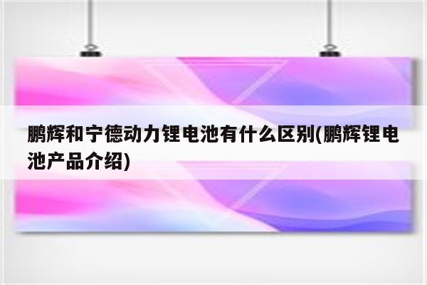 鹏辉和宁德动力锂电池有什么区别(鹏辉锂电池产品介绍)