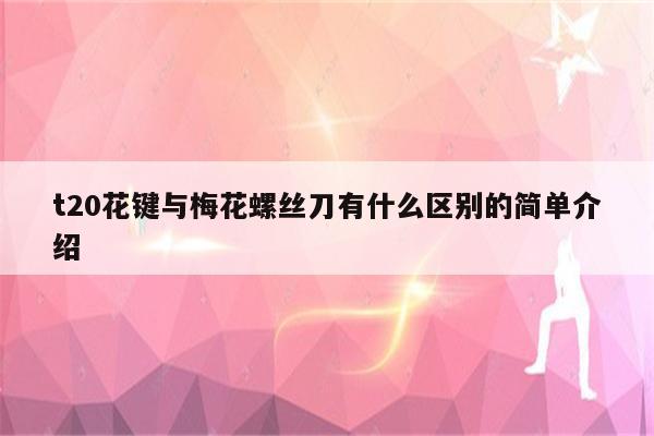 t20花键与梅花螺丝刀有什么区别的简单介绍