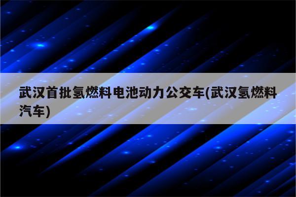 武汉首批氢燃料电池动力公交车(武汉氢燃料汽车)