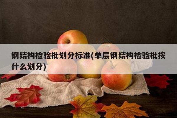 钢结构检验批划分标准(单层钢结构检验批按什么划分)