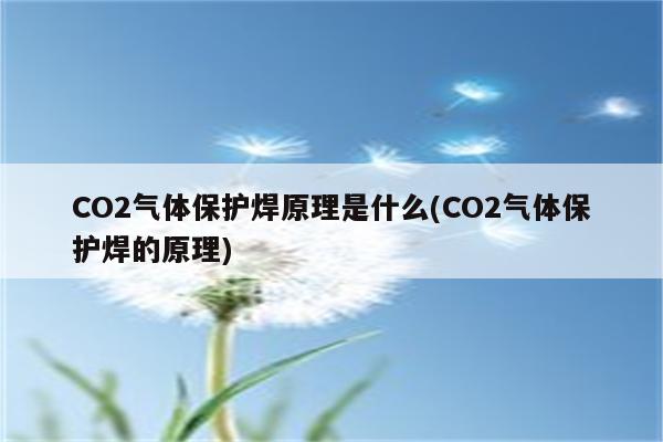 CO2气体保护焊原理是什么(CO2气体保护焊的原理)