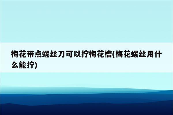 梅花带点螺丝刀可以拧梅花槽(梅花螺丝用什么能拧)