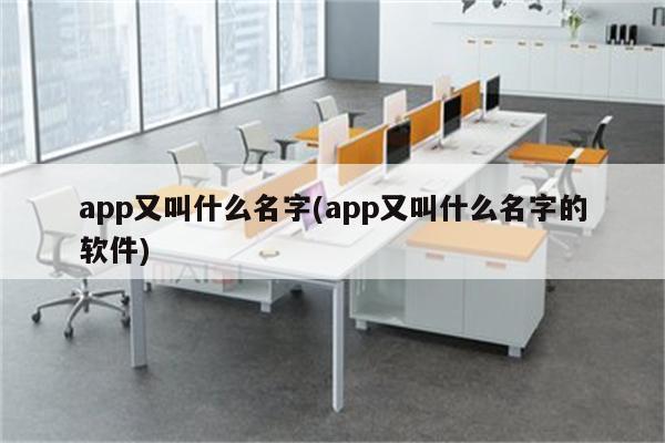 app又叫什么名字(app又叫什么名字的软件)