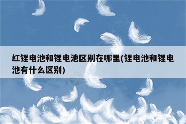 红锂电池和锂电池区别在哪里(锂电池和锂电池有什么区别)