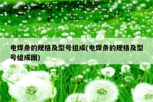 电焊条的规格及型号组成(电焊条的规格及型号组成图)