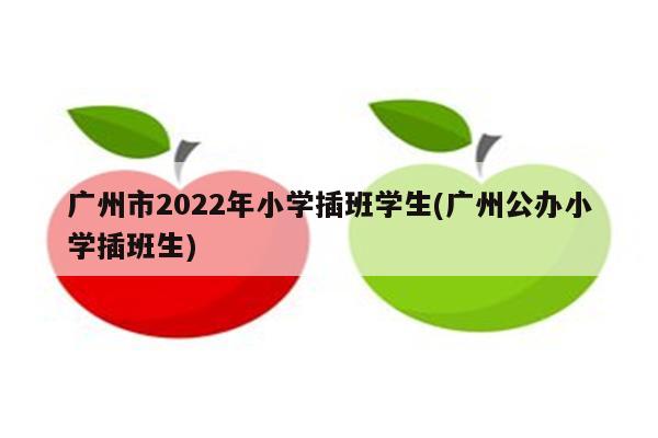 广州市2022年小学插班学生(广州公办小学插班生)