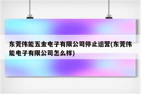 东莞伟能五金电子有限公司停止运营(东莞伟能电子有限公司怎么样)