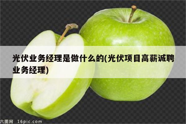 光伏业务经理是做什么的(光伏项目高薪诚聘业务经理)