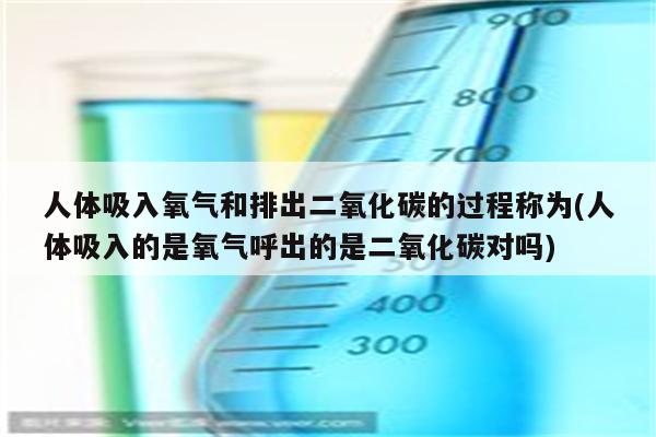 人体吸入氧气和排出二氧化碳的过程称为(人体吸入的是氧气呼出的是二氧化碳对吗)