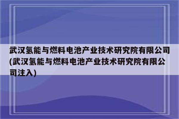 武汉氢能与燃料电池产业技术研究院有限公司(武汉氢能与燃料电池产业技术研究院有限公司注入)