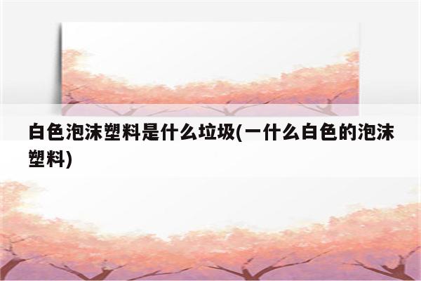 白色泡沫塑料是什么垃圾(一什么白色的泡沫塑料)