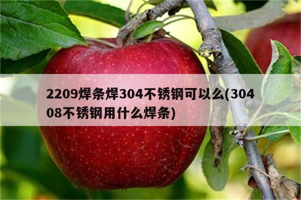 2209焊条焊304不锈钢可以么(30408不锈钢用什么焊条)