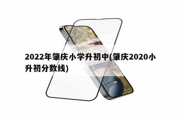 2022年肇庆小学升初中(肇庆2020小升初分数线)