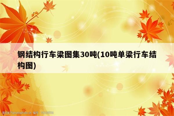 钢结构行车梁图集30吨(10吨单梁行车结构图)