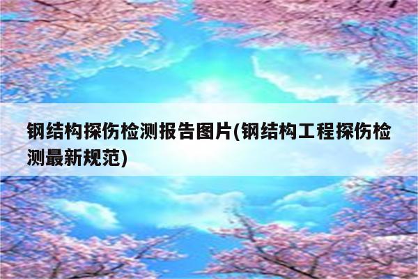 钢结构探伤检测报告图片(钢结构工程探伤检测最新规范)