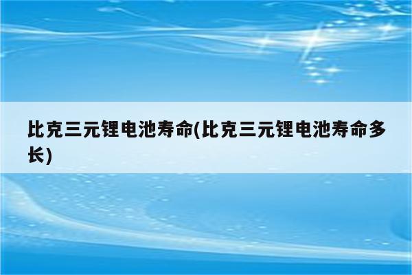 比克三元锂电池寿命(比克三元锂电池寿命多长)