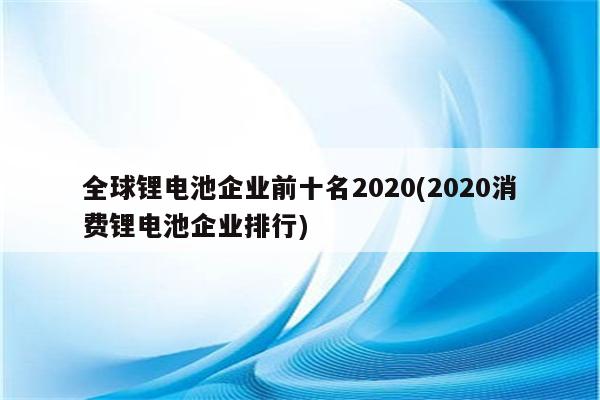 全球锂电池企业前十名2020(2020消费锂电池企业排行)