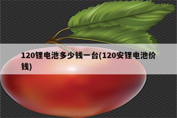 120锂电池多少钱一台(120安锂电池价钱)