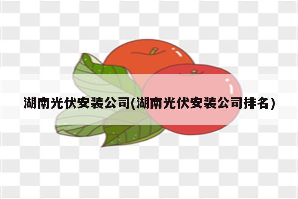 湖南光伏安装公司(湖南光伏安装公司排名)