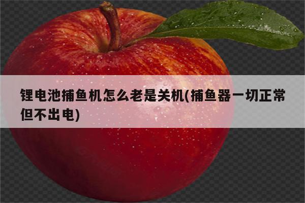 锂电池捕鱼机怎么老是关机(捕鱼器一切正常但不出电)